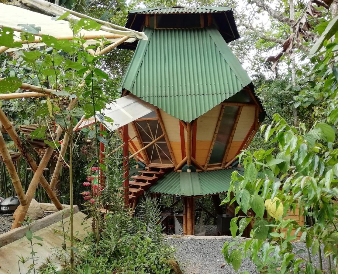 Kasaguadua - Reserva Natural Lodge