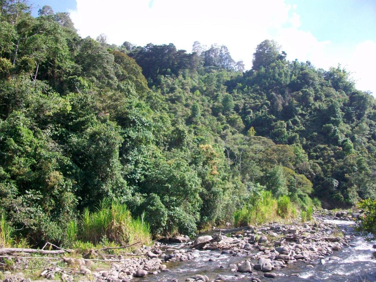 Lodge Kasaguadua - Reserva Natural