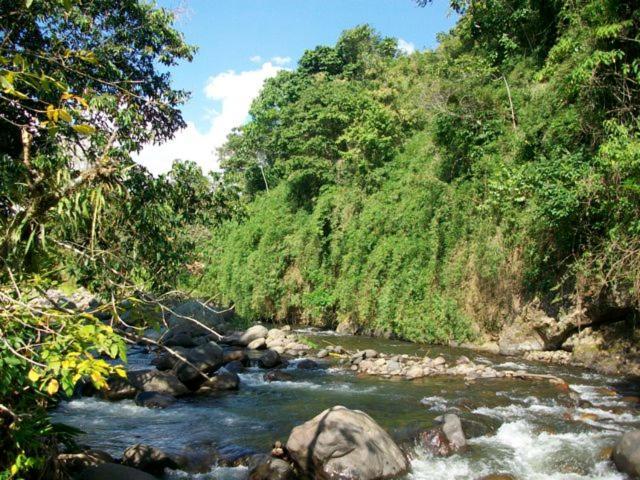 Kasaguadua - Reserva Natural