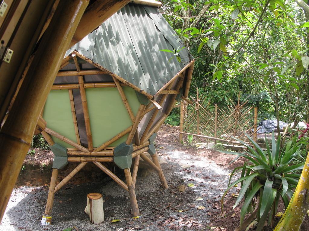 Lodge Kasaguadua - Reserva Natural Salento